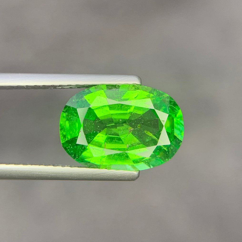1 pcs  绿色 沙弗莱石  - 5.01 ct - 国际宝石研究院（IGI） - Tasvorite Garnet #4.3