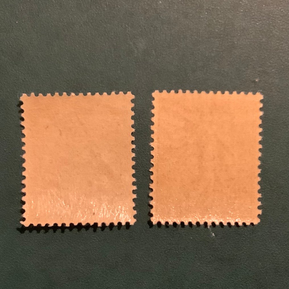 Ranska 1903 - 20 cent Semeuse sävy ruskea lila ja ruskea tummempi lila - MNH - Yvert 131 en 131a #1.0