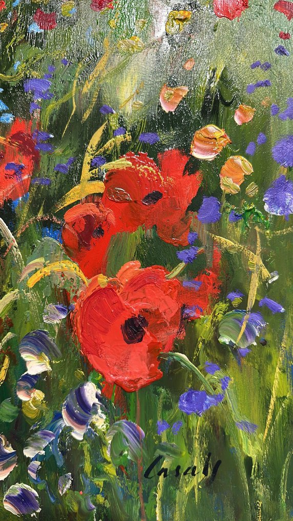 Casals - Primavera multicolor #1.0