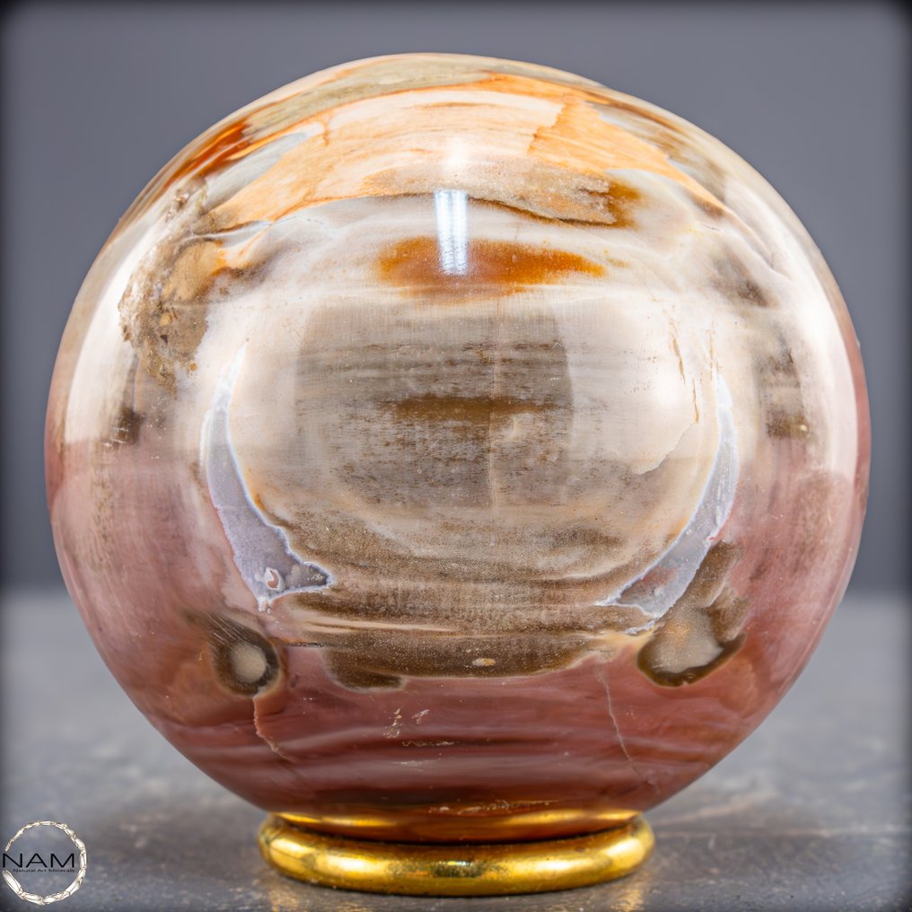 Natural fossil wood sphere Rare fossil with warm, earthy color swirls.- 848.77 g #1.0