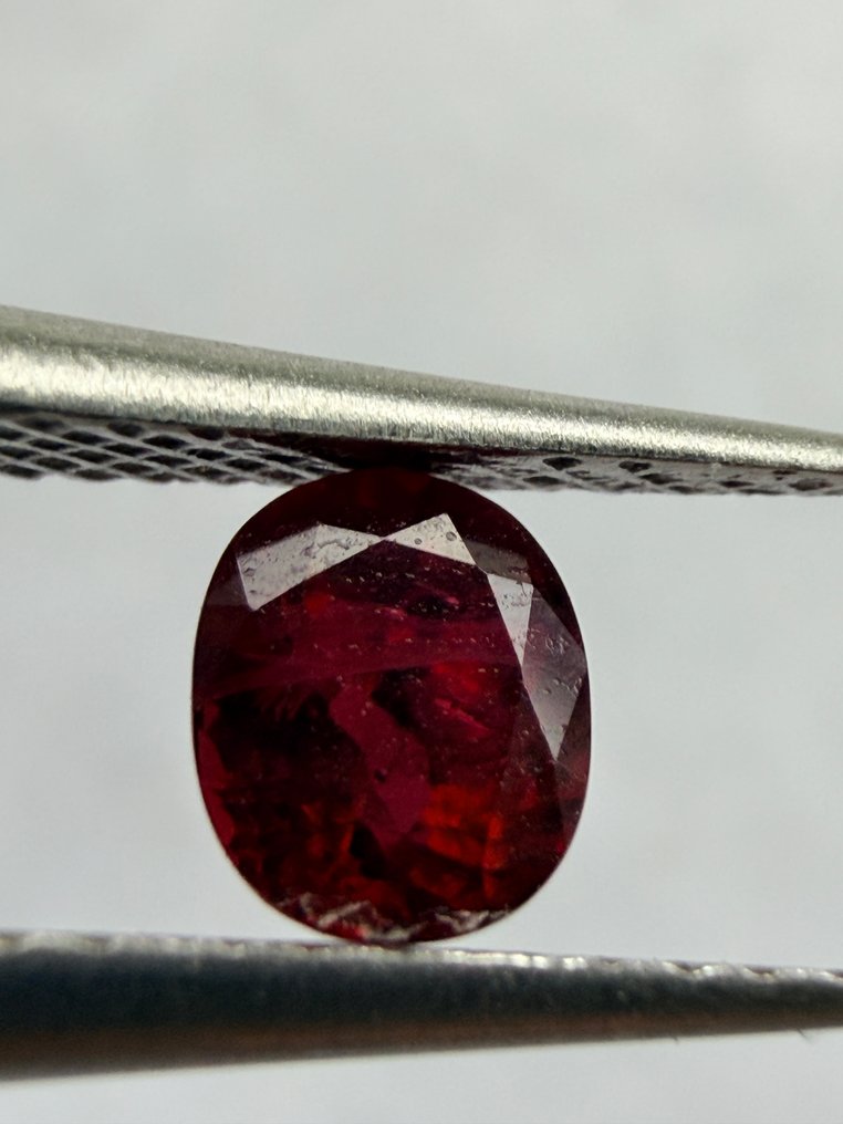 χωρίς τιμή ασφαλείας Κόκκινο Ρουμπίνι  - 0.72 ct - Antwerp Laboratory for Gemstone Testing (ALGT) - Deep Red #1.0