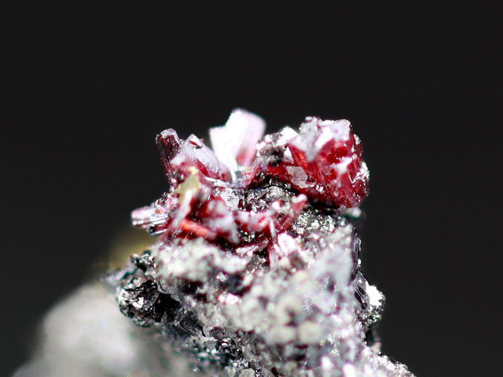 Εντυπωσιακός κόκκινος πραγμαγκάς Χωρίς ελάχιστη τιμή • Άριστο δείγμα - Ύψος: 15 mm - Πλάτος: 10 mm- 0.62 g - (1) #3.2