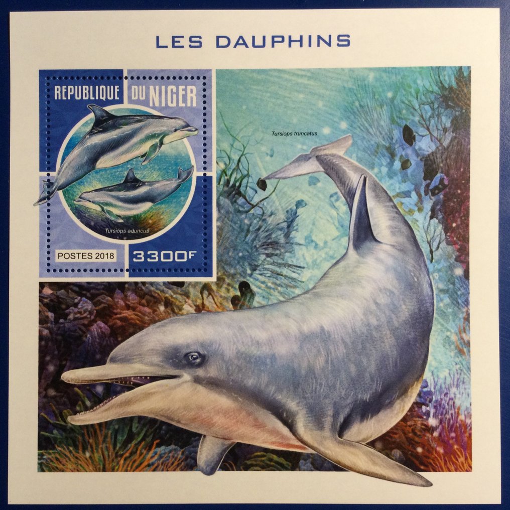 Welt  - Delfine #1.0