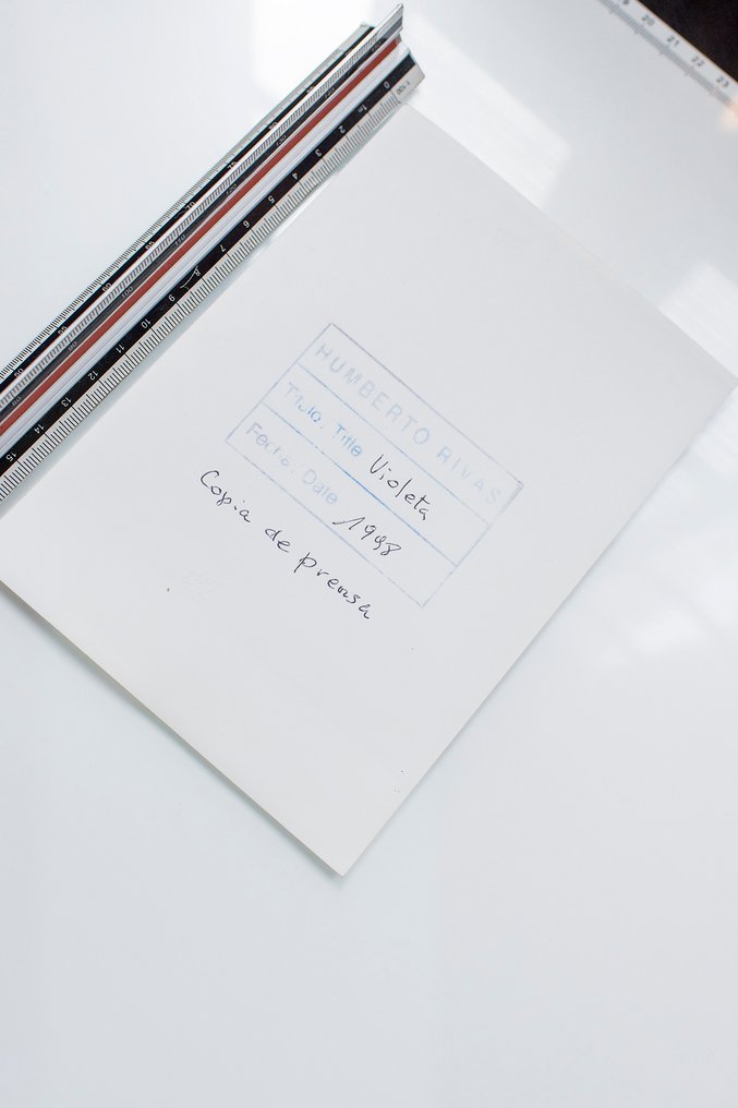 Humberto Rivas - Violeta,1998 copia del autor #4.3