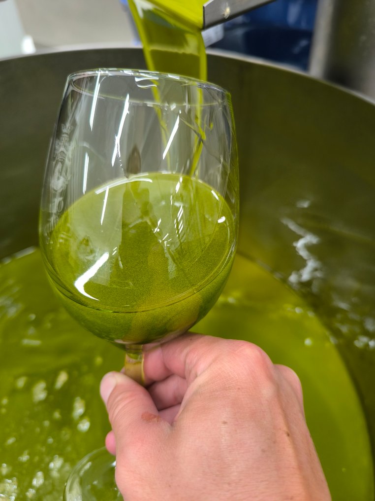 "Nonno Giulio" BIO, Agricola Salemi Pietro Nicola - 特级初榨橄榄油 - 2 - 5升罐 #3.2