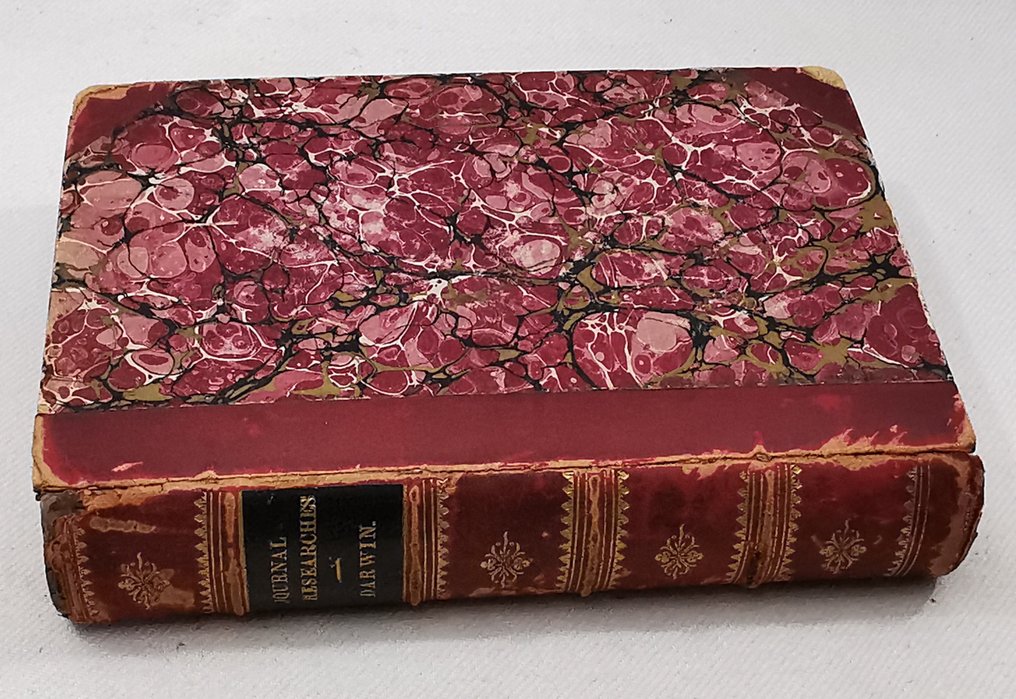 Charles Darwin - Journal of Researches into the Natural History and Geology during the Voyage of H.M.S. "Beagle" - 1894 #3.2