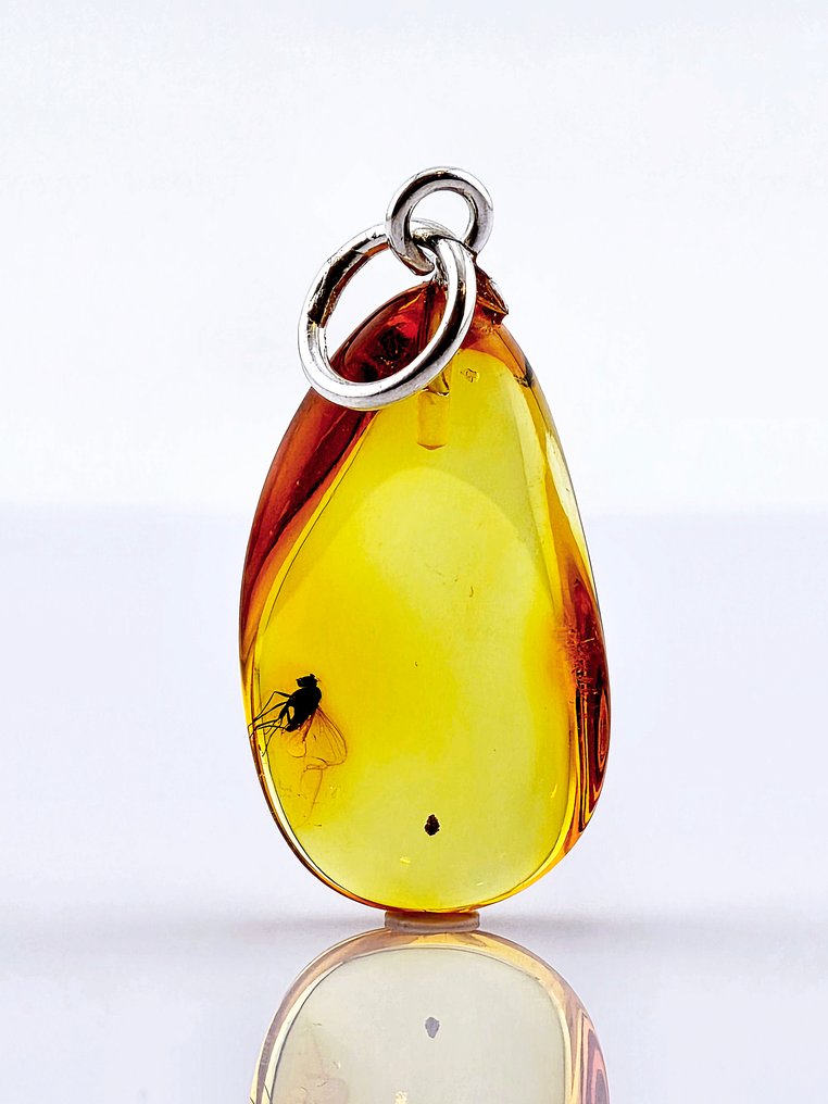 Σπάνιο κρεμαστό με δύο τόνους κεχριμπαριού – Αρχαία ΝΕΜΑΤΟΚΕΡΑΝΙΚΗ ΜΥΓΑ – Αυθεντικό Βαλτικό Πολύτιμο - Κεχριμπάρι (χωρίς τιμή ασφαλείας) #2.1