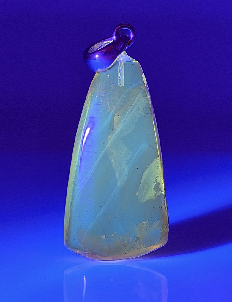 Collector’s Eocene Baltic Amber Vedhæng – Ancient FLY Inklusion – Sjælden Naturlig Eksemplar - Rav (Ingen mindstepris) #4.3