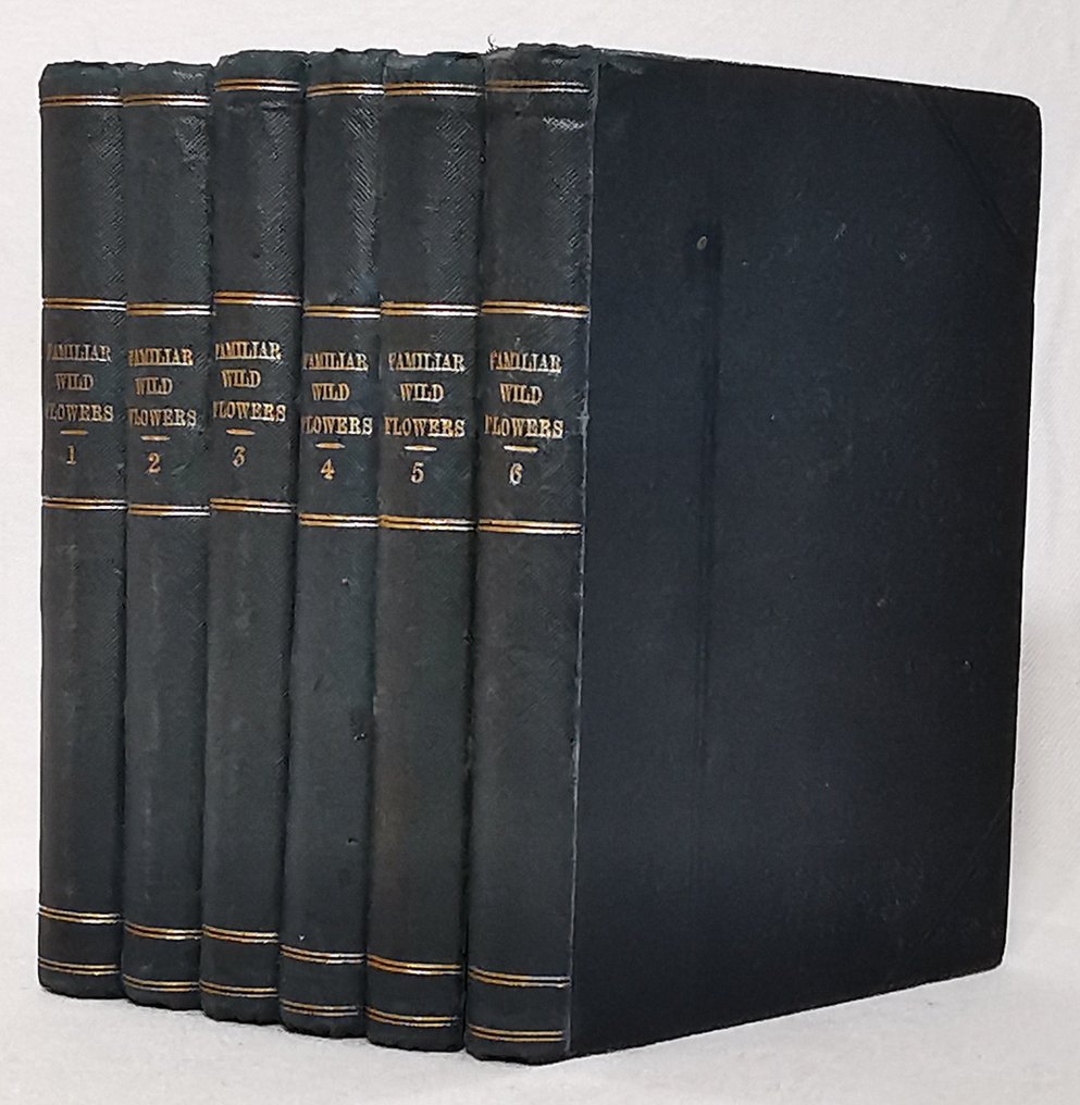 F. Edward Hulme - Familiar Wild Flowers (Complete Set With 240 Colour Plates) - 1898 #2.1