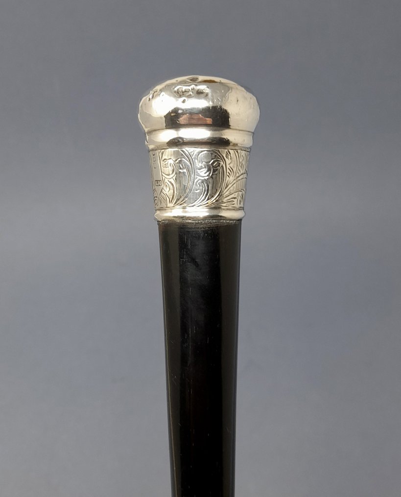 Edwin John Chappell Bastone da passeggio - .925 argento - Londra 1884 #4.3