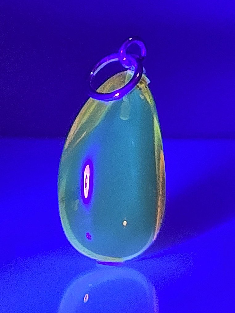 Σπάνιο κρεμαστό με δύο τόνους κεχριμπαριού – Αρχαία ΝΕΜΑΤΟΚΕΡΑΝΙΚΗ ΜΥΓΑ – Αυθεντικό Βαλτικό Πολύτιμο - Κεχριμπάρι (χωρίς τιμή ασφαλείας) #4.3