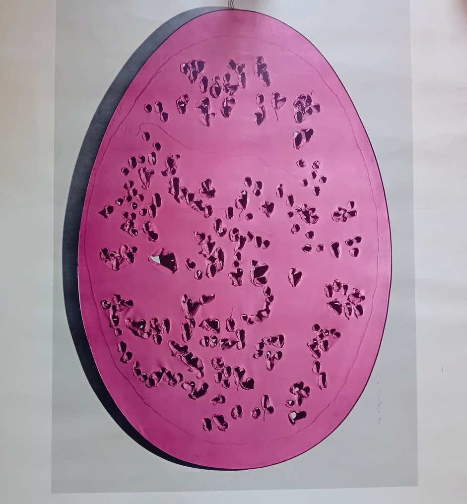 Lucio Fontana - Ind. Graf. C. Zeppegno - Torino - Lucio Fontana - 1970s #1.0