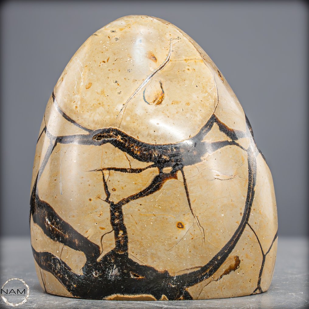 自然的隔膜晶簇带有方解石晶体 最高品质- 1719.87 g #3.2