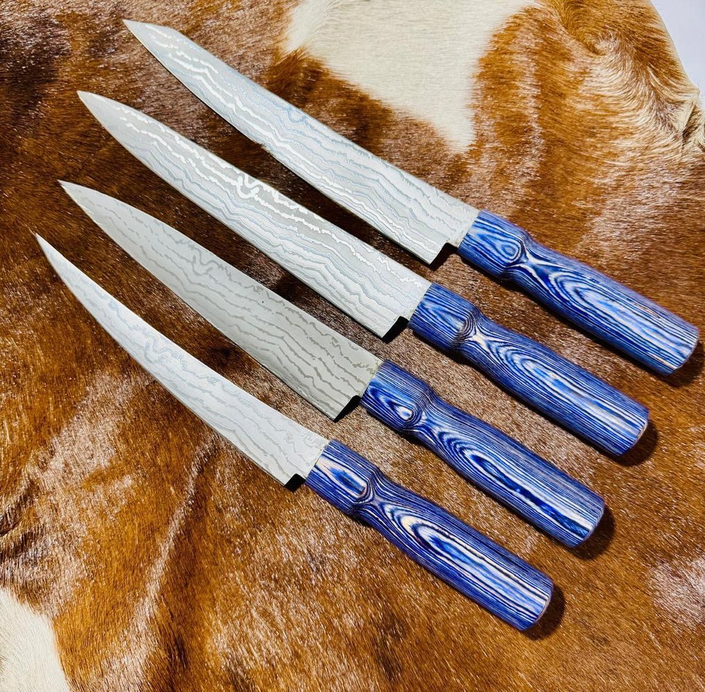 厨刀 -  日本厨房刀具套装（0035） - VG10钢材，较少钢材和异国木柄 - 日本 - 日本厨房刀具 #1.0