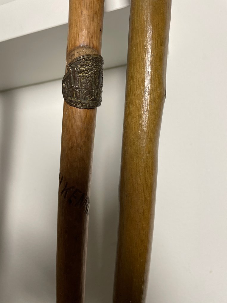 Μπαστούνι  (12) - Ξύλο, Μέταλλο - περπατητικά μπαστούνια #4.3