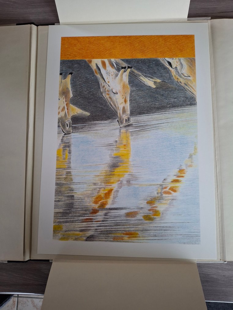 Claude Renard - 1 Portfolio - Zoo Maubeuge - 1994 #3.2