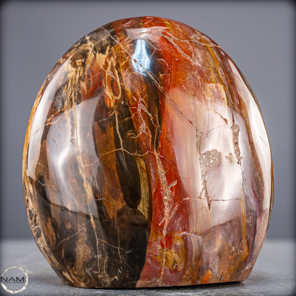 Fiery beauty from prehistoric times – natural fossilized wood. Freeform from Madagascar- 2917.17 g #1.0