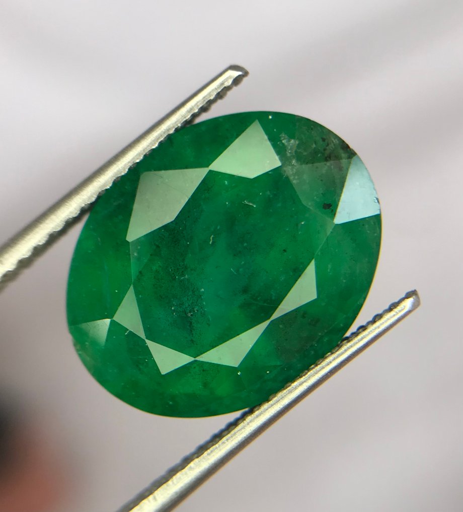 1 pcs  綠色 祖母綠  - 7.62 ct - 國際寶石學院（International Gemological Institute (IGI)） #1.0