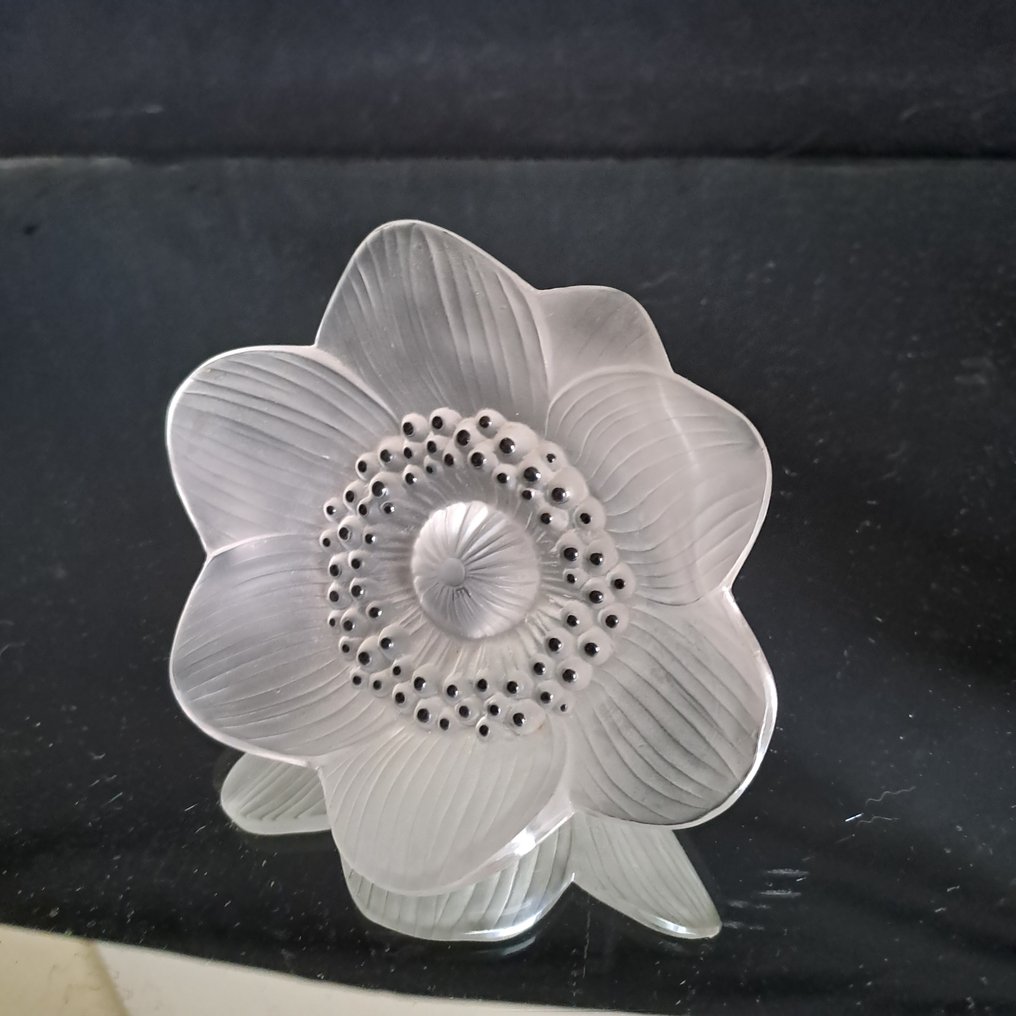 Lalique - Carving, Anémone - 9 cm - Crystal #1.0