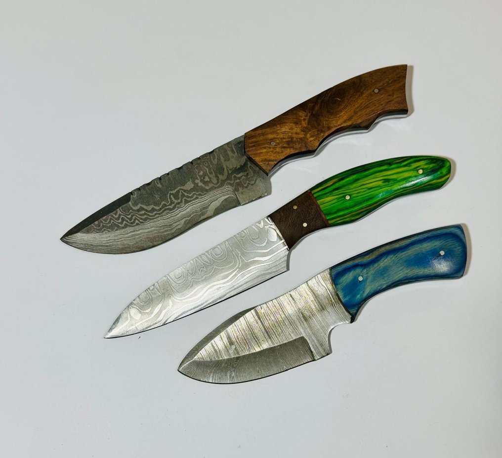 厨刀 -  厨房桌子刀 (0098) - 美国异国木柄与折叠钢 - 美国 - 厨房用刀 #3.2