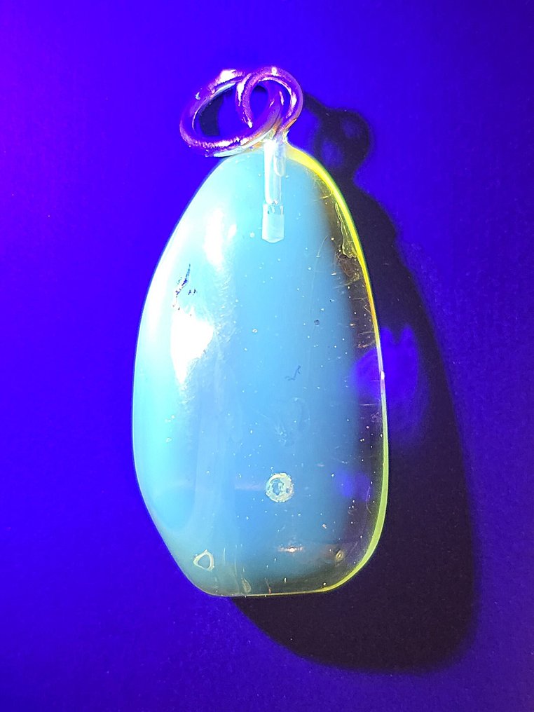 华丽的透明琥珀吊坠——细致的寄生蜂与气泡细节 - 琥珀 (没有保留价) #4.3