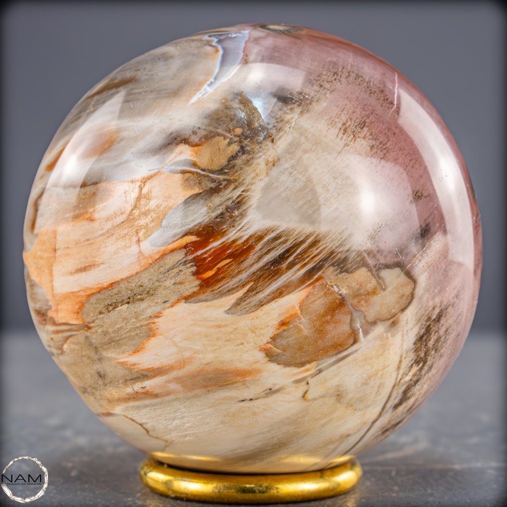 Natural fossil wood sphere Rare fossil with warm, earthy color swirls.- 848.77 g #4.3