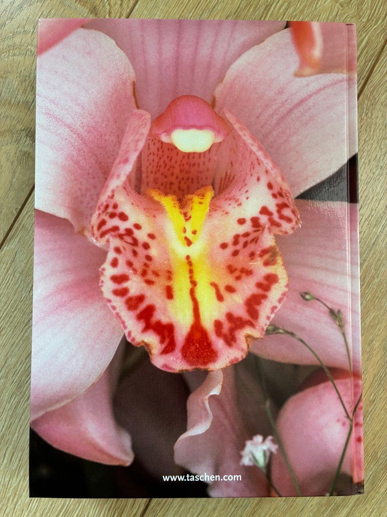 Nobuyoshi Araki - Araki - 2007 #1.0