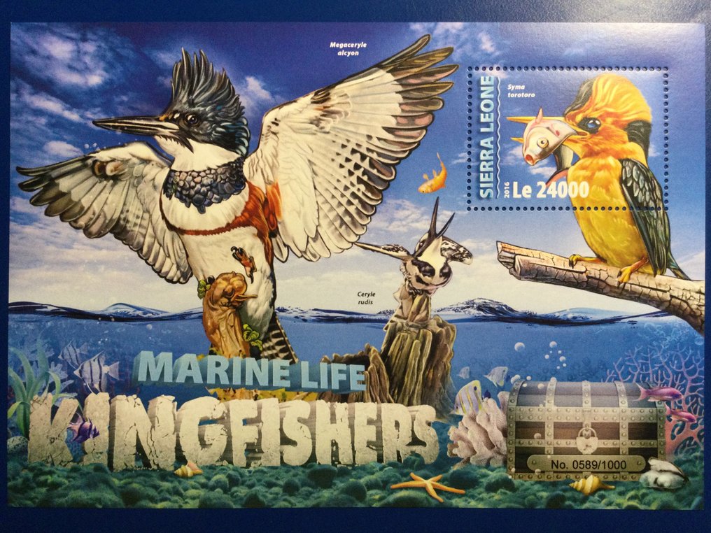 Κόσμος  - KINGFISHERS #2.1