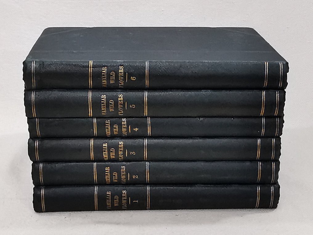 F. Edward Hulme - Familiar Wild Flowers (Complete Set With 240 Colour Plates) - 1898 #4.3