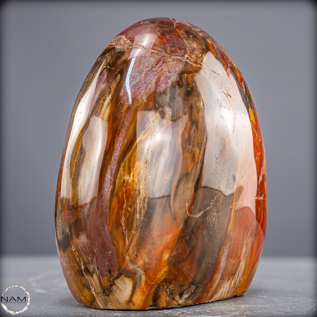 Fiery beauty from prehistoric times – natural fossilized wood. Freeform from Madagascar- 2917.17 g #4.3