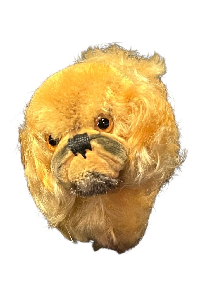 Steiff - Teddybeer - 1950-1960 #4.3