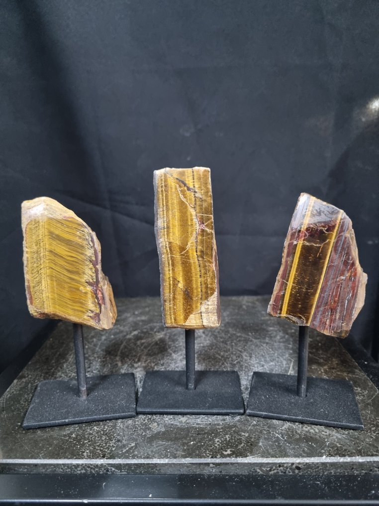 Stunning set of Tiger's Eye on a luxury standard Freeform- 1200 g - (3) #1.0