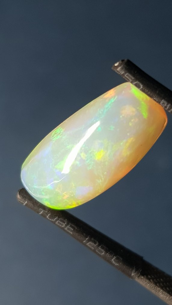 No reserve price - 1 pcs Orange, Multicolour Opal - 4.09 ct - Antwerp Laboratory for Gemstone Testing (ALGT) - Fine Color Quality #1.0
