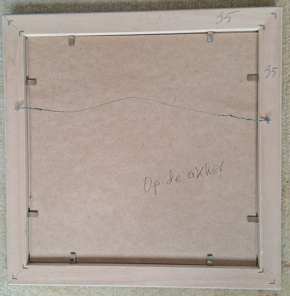 Mijnsbergen - Op de akker #3.2