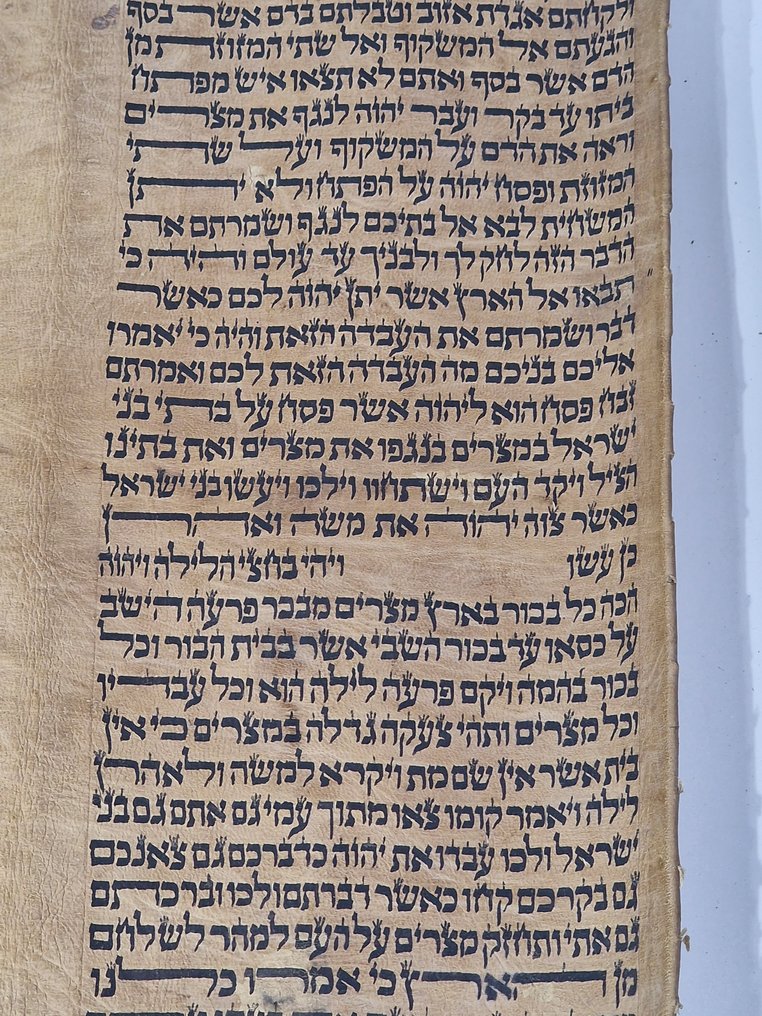 antique Torah scroll, a handwritten on leather - 1800 #2.1