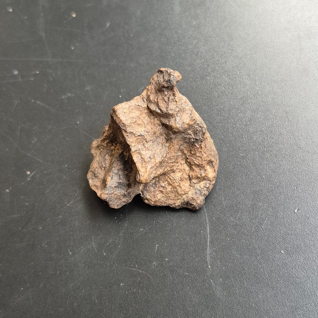 Al Haggounia 001-meteorit - Chrondiet meteoriten - På standard - Höjd: 40 mm - Bredd: 35 mm - 29.91 g - (1) #3.2