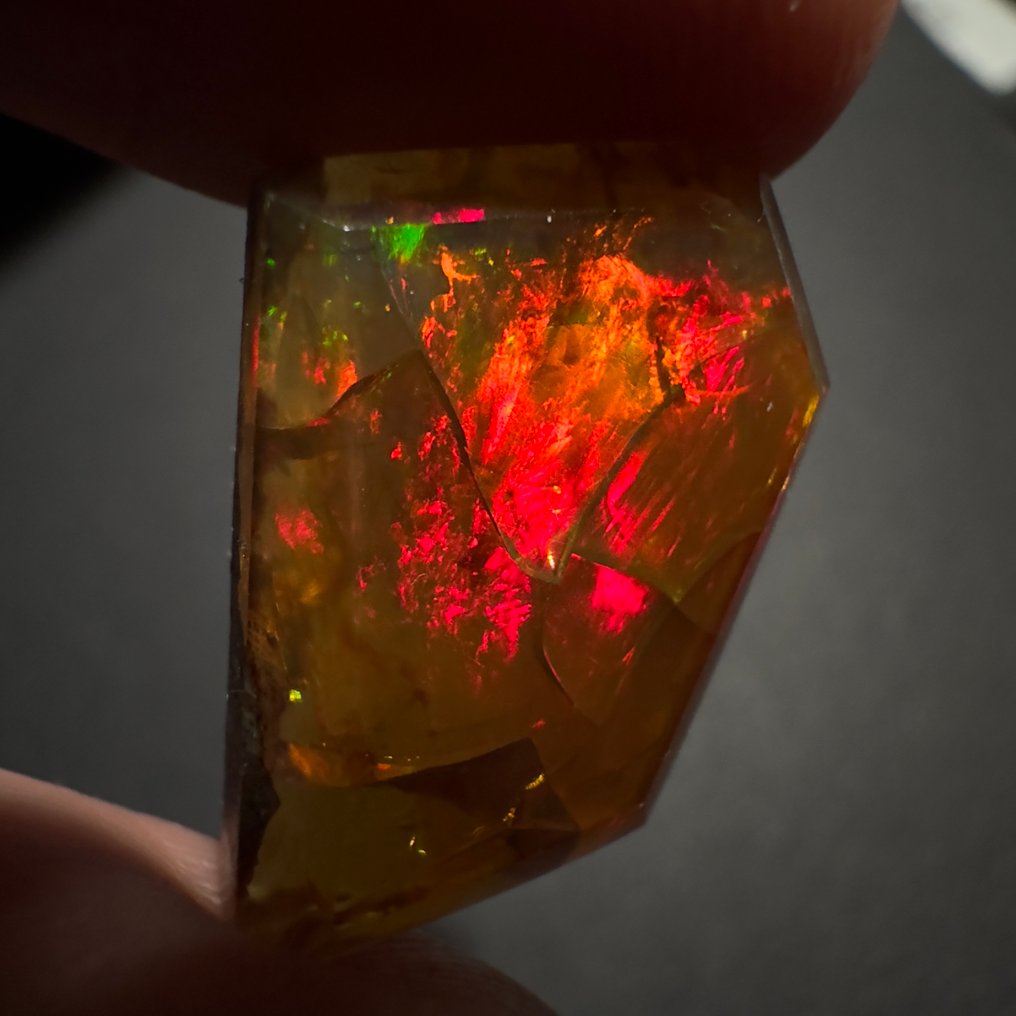 Ingen reservasjonspris - 1 pcs  Opal  - 7.00 ct - Ingen laboratorierapport #1.0