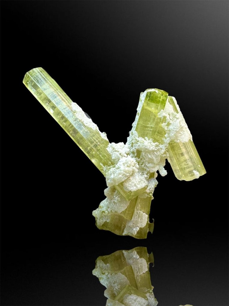 Tourmaline 礦物收藏 - 高度: 3 cm - 闊度: 3.5 cm- 16 g - (1) #1.0