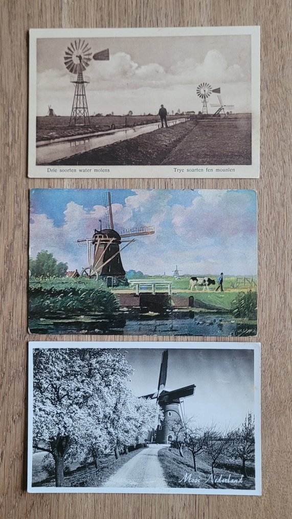 Netherlands - Windmill - Postcard (133) - 1920-1980 #2.1