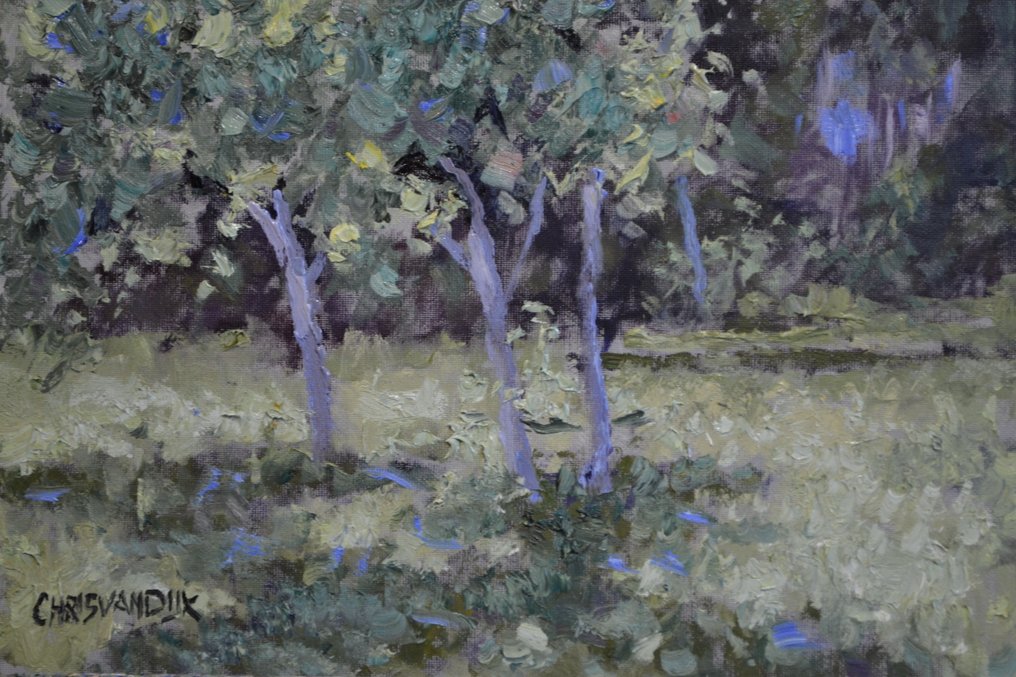 Chris van Dijk (1952) Impressionist - " Sommant " #2.1