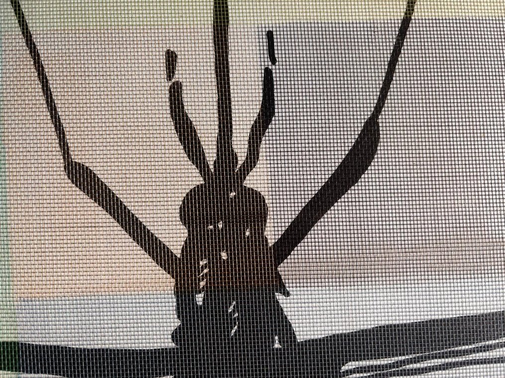 Elio - Human Fly #2.1