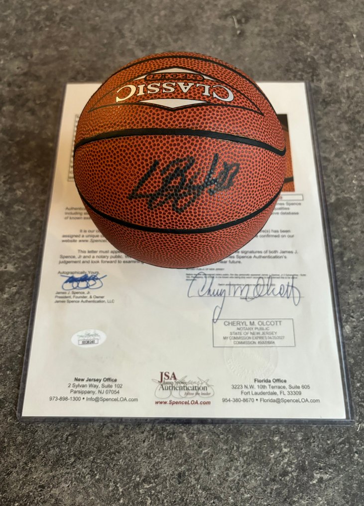 NBA Basketbal - LeBron James - Baschet #1.0