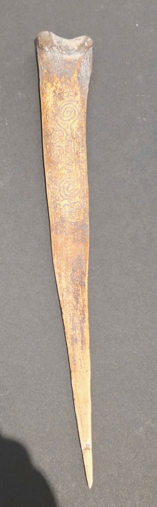 11 εργαλεία - ex coll Jac Hoogerbrugge - Asmat - Δυτικό Παπούα #2.1