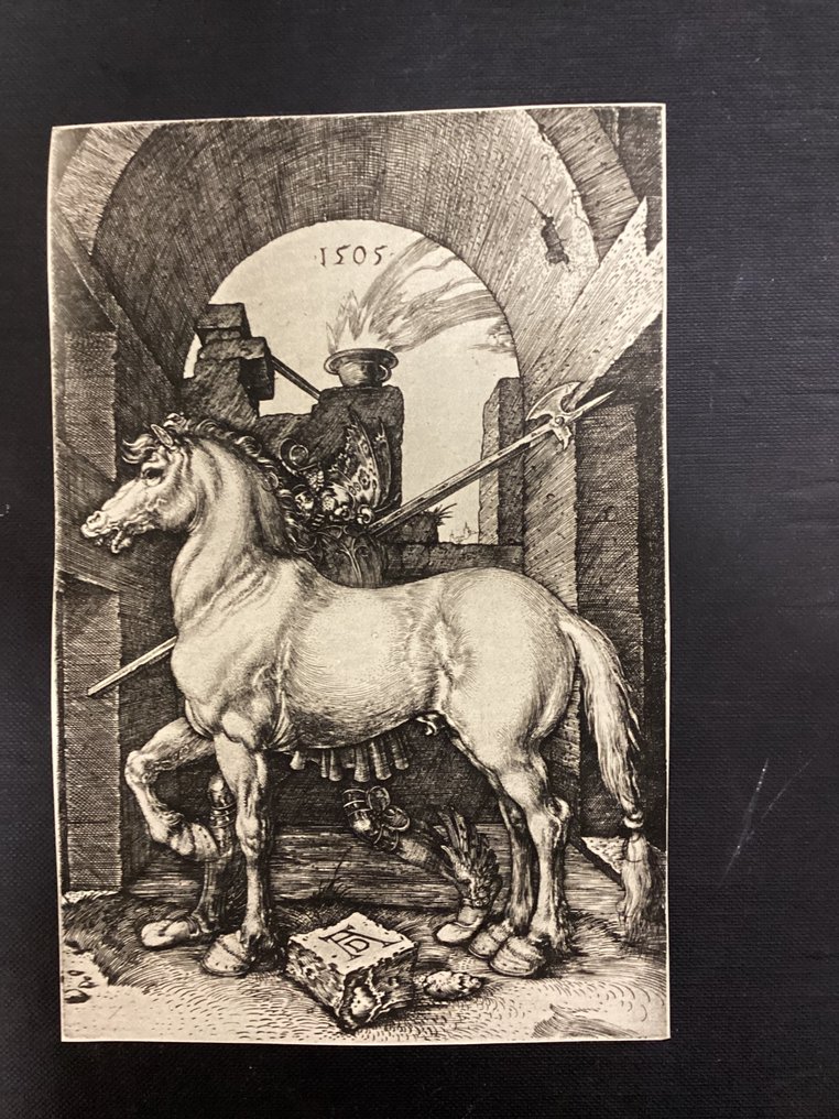 Albrecht Durer (1471-1528), after - The Small Horse #1.0