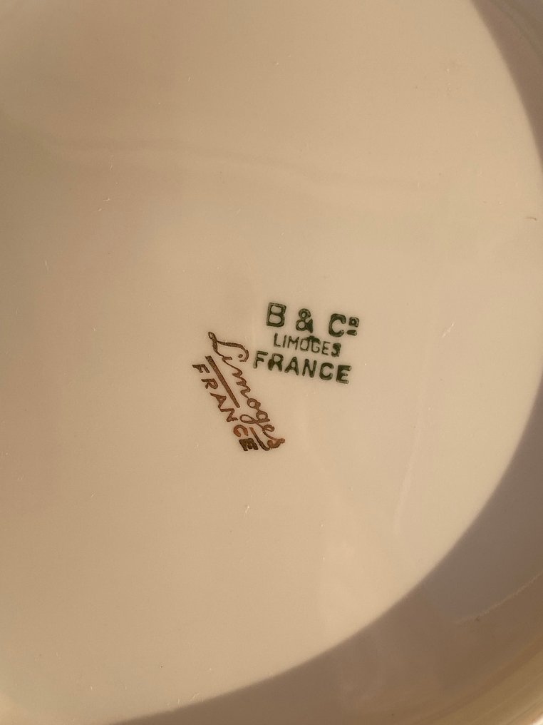 Bernardaud - LIMOGES ( NO RESERVE PRICE!) - Bernardaud & Cie - Serviço de mesa para 12 (12) - Serviço de crustáceos / peixe - Porcelana, Cerâmica - Raro, pesci + oro. #1.0