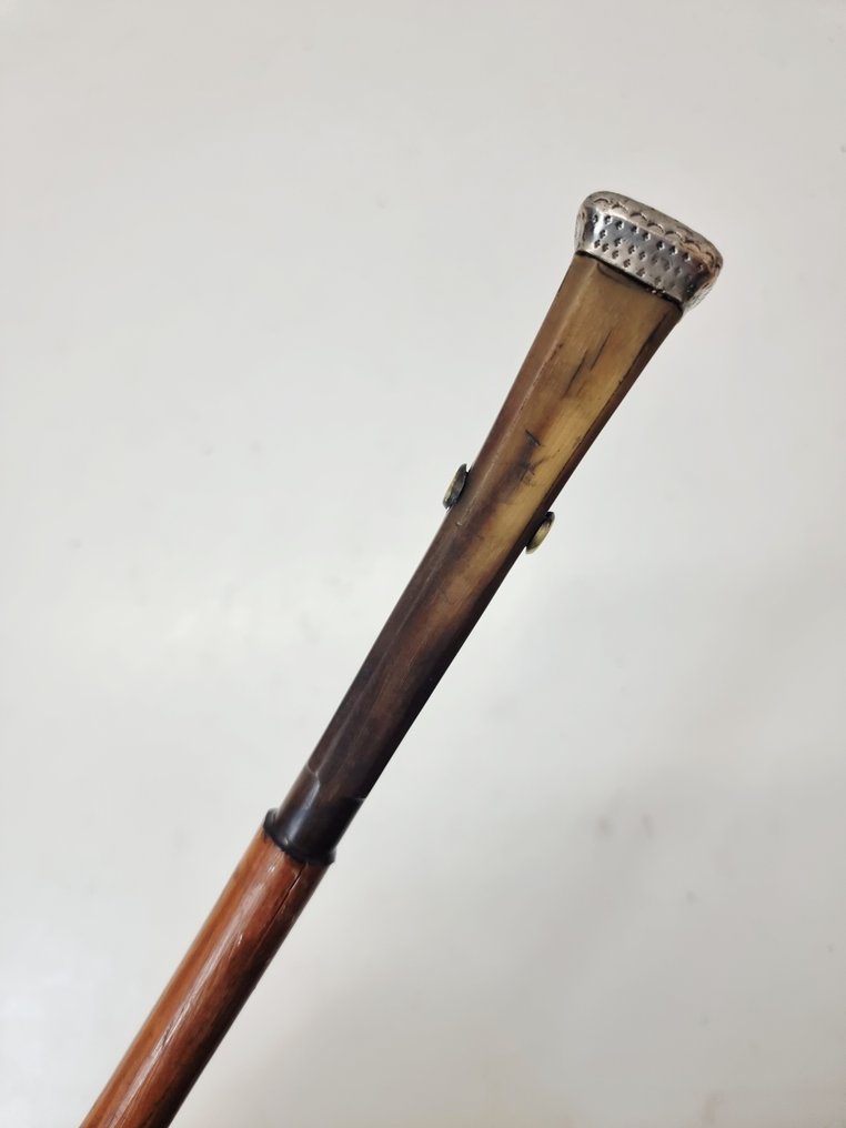 Walking stick - Horn, Bamboo #2.1