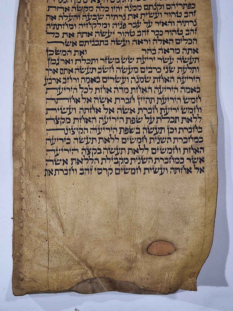 antique Torah scroll, a handwritten on leather - 1800 #4.3