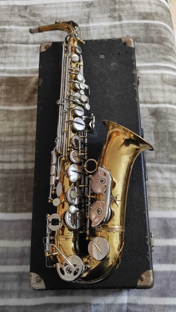 Ida Maria Grassi - Professional ns 43693 -  - 中音萨克斯管 - 意大利 #4.3