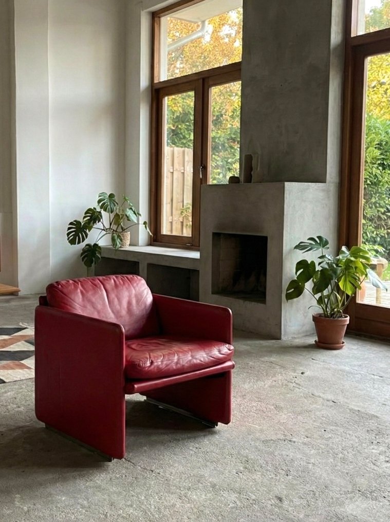 Arflex - Marco Zanuso - Πολυθρόνα - Άνοιξη - Δέρμα #1.0