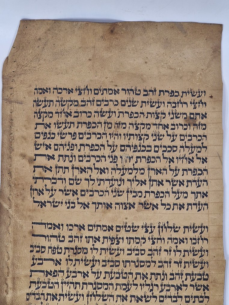 antique Torah scroll, a handwritten on leather - 1800 #1.0